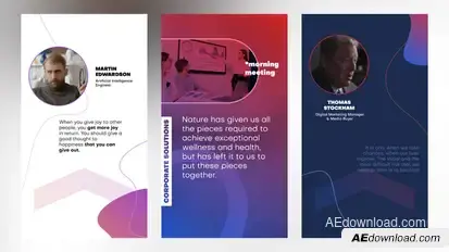 Corporate Instagram Stories Video Displays template preview