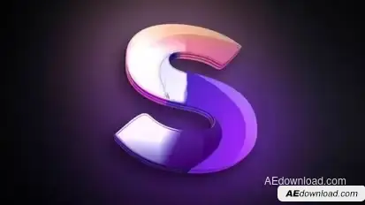 Logo Transition Logo Stings template preview