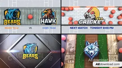 Cricket Bumper 4 (4-Bumpers) Logo Stings template preview