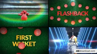 Cricket Bumper 5 (3-Bumpers) Logo Stings template preview