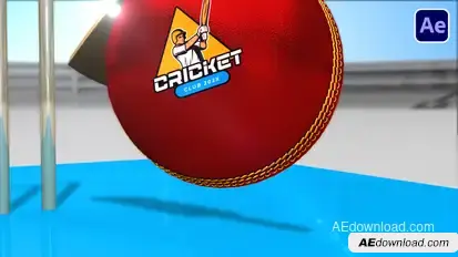 Cricket Bumper Openers template preview