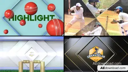 Cricket Bumper Logo Stings template preview
