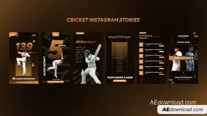 Cricket Instagram Stories Video Displays template preview
