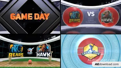 Cricket VS 2 Logo Stings template preview