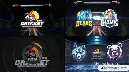 Cricket VS 3 Logo Stings template preview
