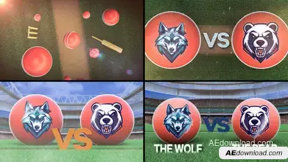 Cricket VS Logo Stings template preview