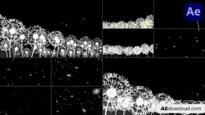 Dandelion Breeze | After Effects Elements template preview