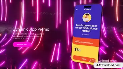 Dynamic Application Promo Product Promo template preview