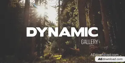 Dynamic Gallery Video Displays template preview