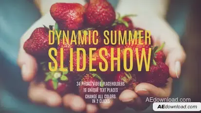Dynamic Summer Slideshow Video Displays template preview
