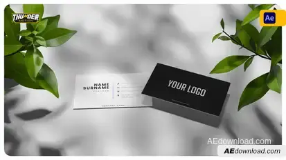 Elegant Business Card Mockup Product Promo template preview