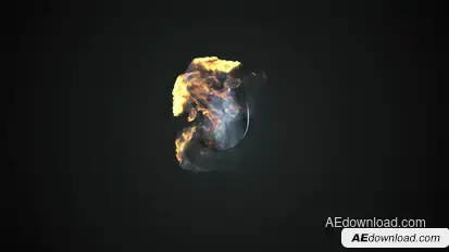 Elegant Fire Burst Logo Logo Stings template preview
