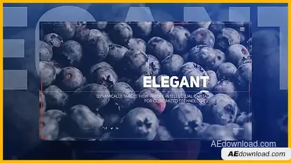 Elegant Flow Slides Video Displays template preview