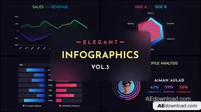 Elegant Infographics Pack Vol.3 Infographics template preview