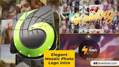 Elegant Mosaic Photo Logo Intro Logo Stings template preview