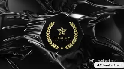 Elegant Reveal Logo Stings template preview