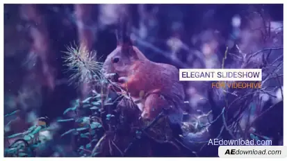 Elegant Slideshow Video Displays template preview