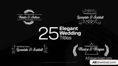 Videohive Elegant Wedding Titles 46759017 Titles template preview