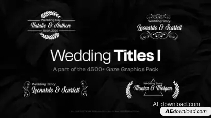 Elegant Wedding Titles Titles template preview