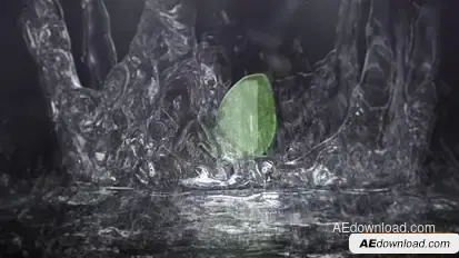 Epic Water Splash/Drop Logo Logo Stings template preview