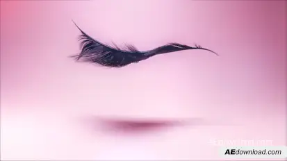 Eyelash Logo Ident Logo Stings template preview