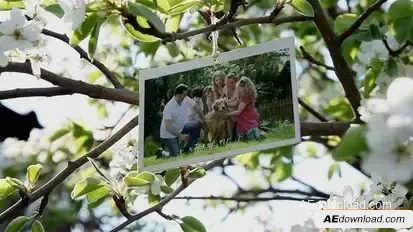 VIDEOHIVE Family Photo Gallery 38276715 Video Displays template preview