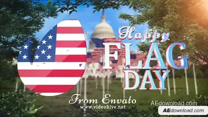 Flag Day Logo Logo Stings template preview