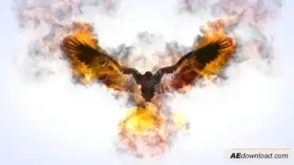 Flaming Eagle Logo Reveal Logo Stings template preview