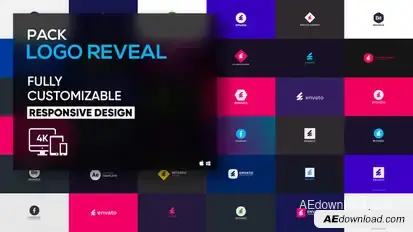 Flat Logo Reveal Pack | After Effects Logo Stings template preview