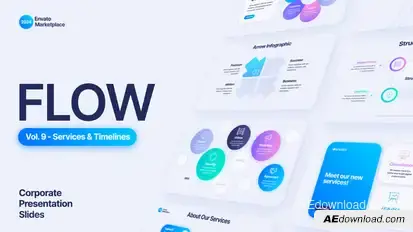 Flow: Services & Timelines Infographic Scenes Pack Openers template preview