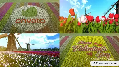 Flower Field Logo Stings template preview
