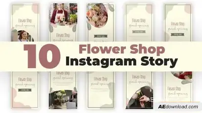 Videohive Flower Shop Instagram Stories Openers template preview