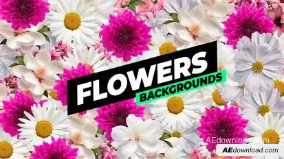 Flowers Backgrounds Elements template preview