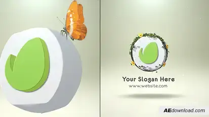 Flowers Butterfly Reveal Logo Stings template preview