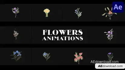 Flowers Falling Into Petals Animations for After Effects Elements template preview