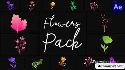 Flowers Pack for After Effects Elements template preview