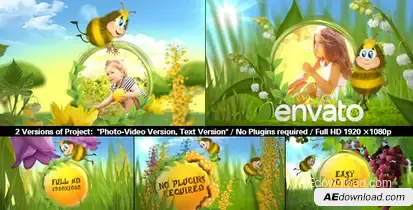 Funny Bee Slideshow Video Displays template preview