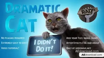 Funny Dramatic Cat Openers template preview