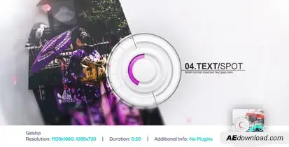 Geisha Video Displays template preview
