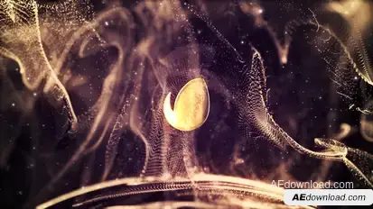 Gold Abstract Titles Titles template preview