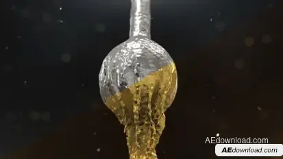 Gold and Silver Sphere Logo Reveal Logo Stings template preview