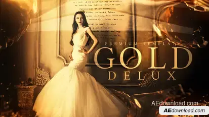 Gold Delux Video Displays template preview