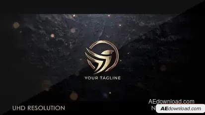 Gold Logo Reveal Logo Stings template preview