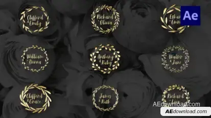 Wedding Titles Titles template preview