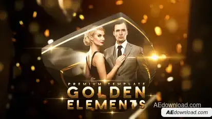 Golden Elements Video Displays template preview