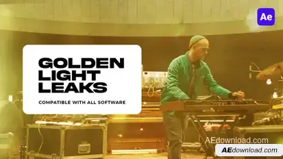 Golden Light Leaks for After Effects Elements template preview