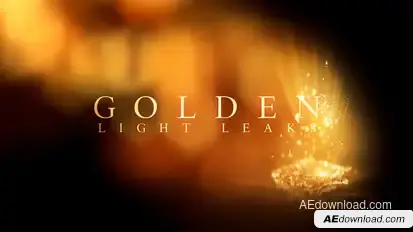 Golden Light Leaks Video Displays template preview