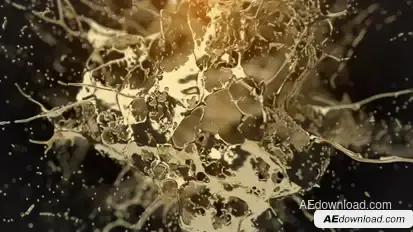 Golden Splash Logo Reveal Logo Stings template preview