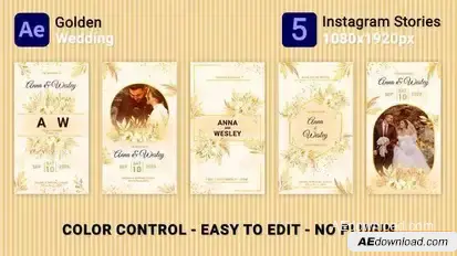 Golden Wedding Instagram Stories Openers template preview
