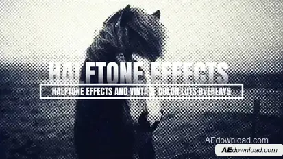 Halftone Effects And Vintage Color luts Overlays Elements template preview